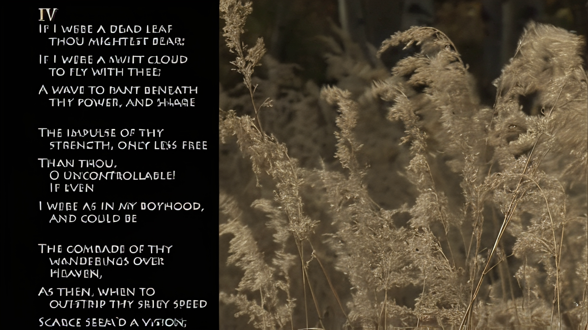 Reconstruction B corrupting the poem letterforms