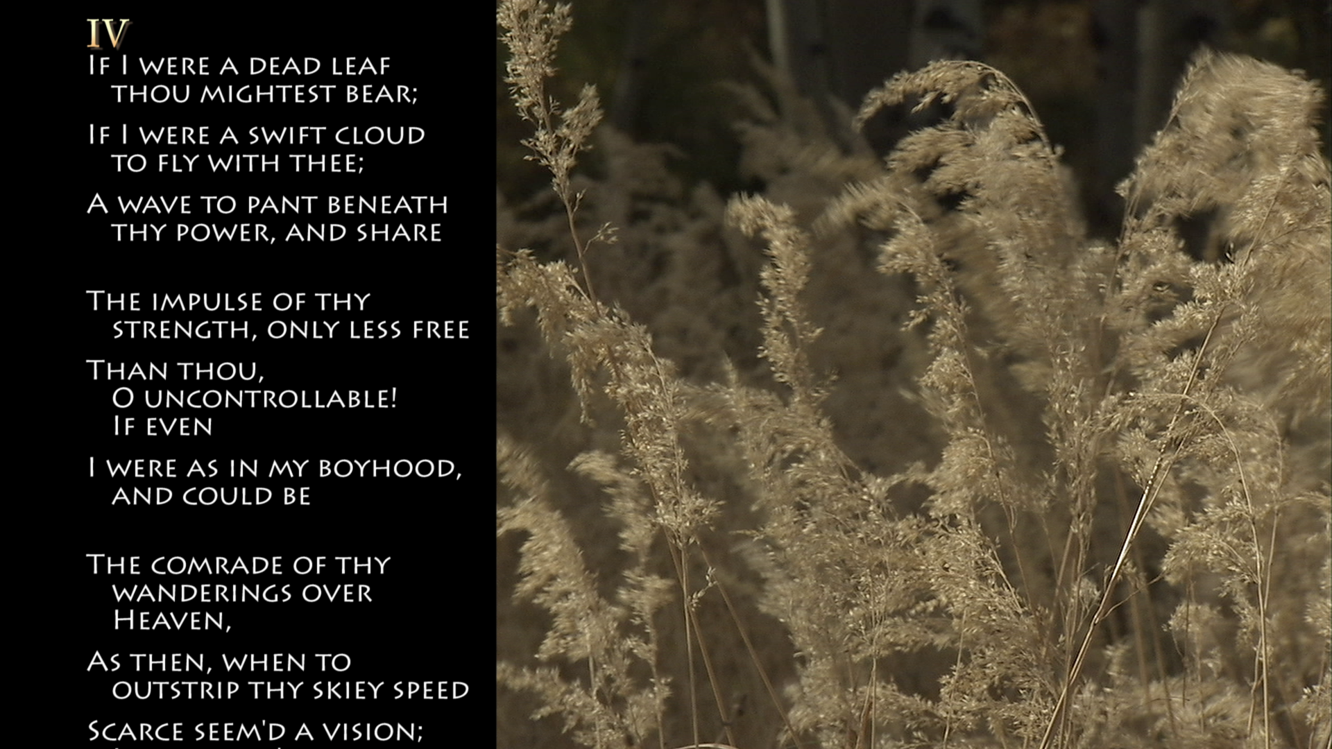 Reference video frame containing a poem in white text